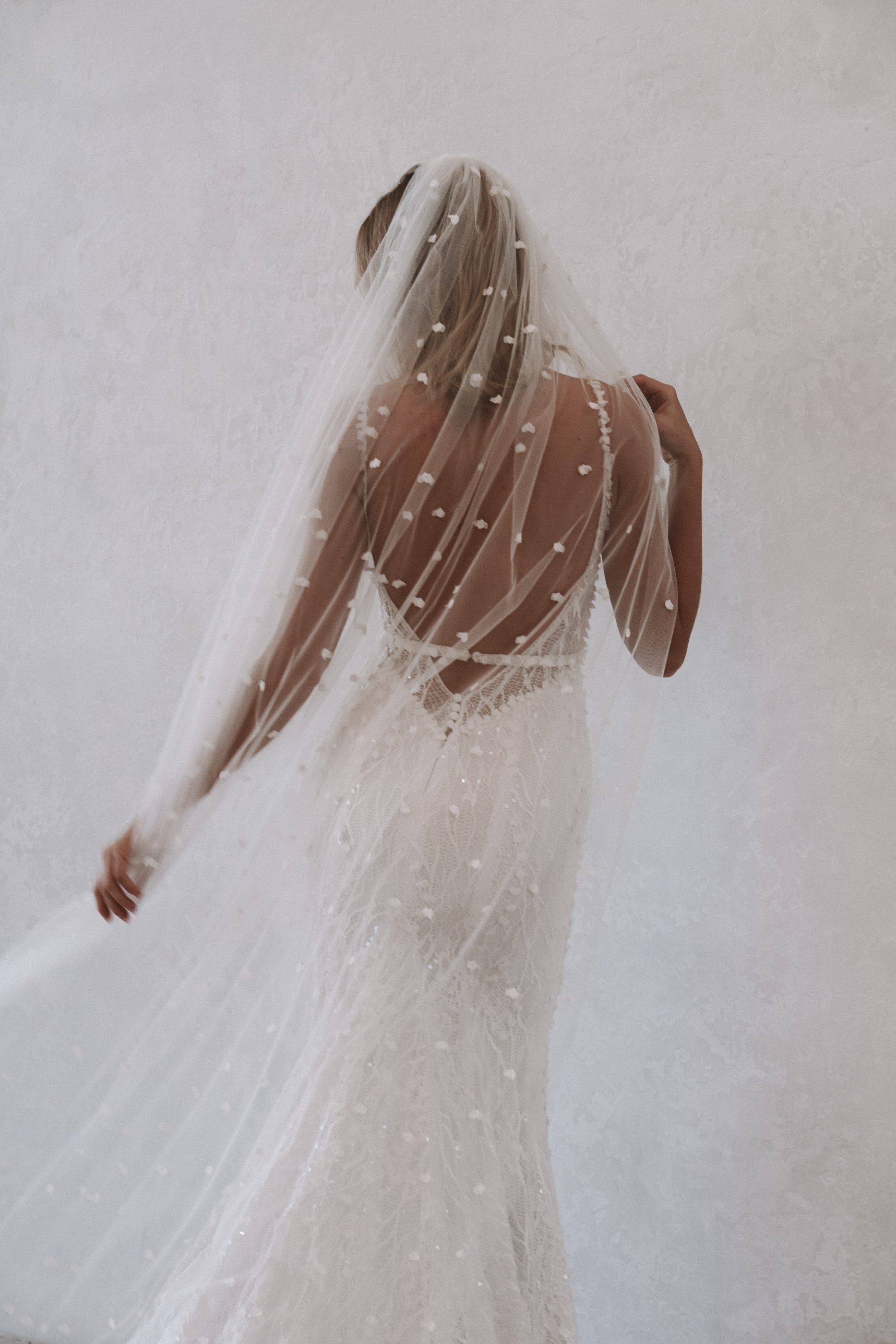 HARLOW VEIL - Image 4