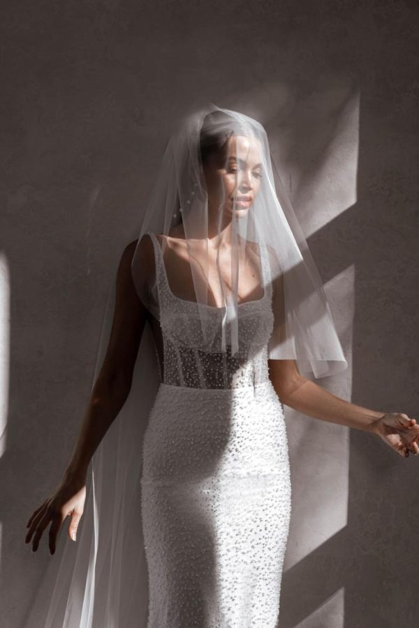 FREDDIE SAMPLE SIZE 36